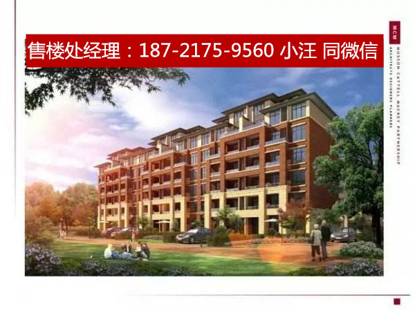  �Ͼ������������ǳɳ�������������������̽��ܼ�����