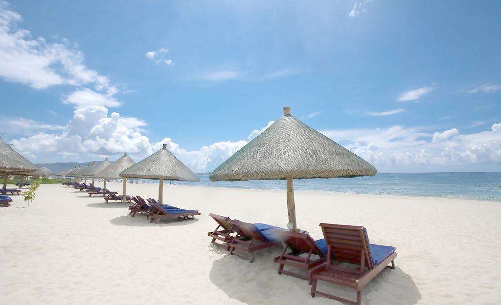  һ�ߺ�����43���𣬲��޹����׸�8����������