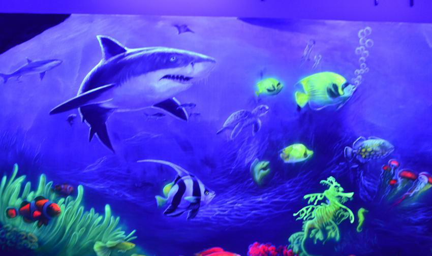  �������αڻ�