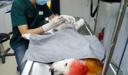  �����������������