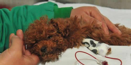  �ں�����רҵ�����ں�������������������﹩