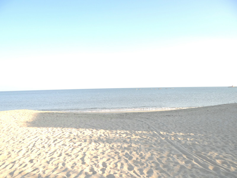  �𶦡�����·9��|����һ�Ƿ����������������