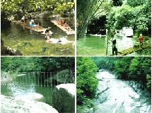 �ٰ�������̲