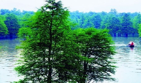 �ٰ���ɽ��