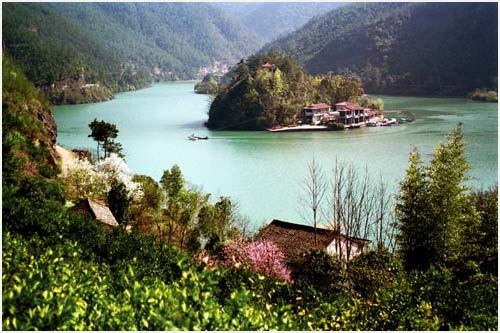 ����ͩ®����Դ