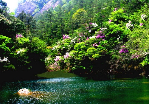 �ٰ���ˮ��