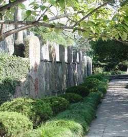 �������屮��