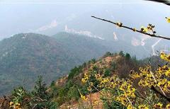 ��������ɽ