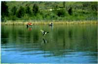 ��������ũҵ԰��