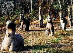 ������Ǯ��ʯ��Ⱥ