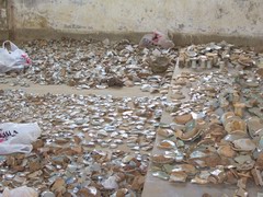 ���������ɽҤַ