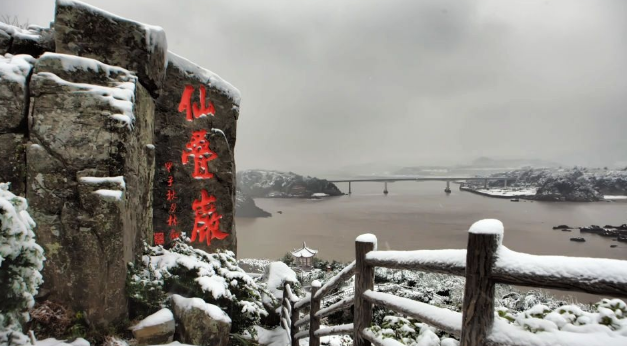 ���ݶ�ͷ�ɵ���