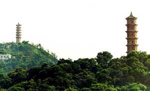 �𰲶��������̨