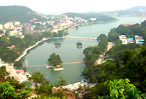 ���ݶ�ͷ���̶ȼٴ�