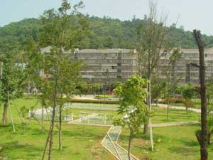 ������ɽ