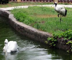 �����ж���԰