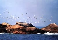 ���������е�