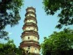 ���ݸ�����