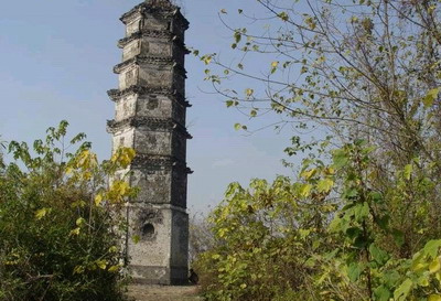 ���ݽ�����