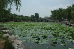 ����¹ɽ��԰