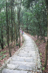 ���˹����