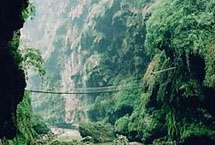 �𻪸���Ұ����