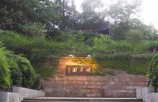 ������¥