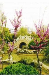 �𻪼���ɽ��԰