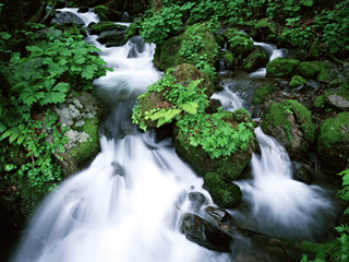 ���ݿ�������ɽ��Ȼ������