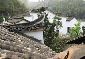 ��ˮ�����奴�