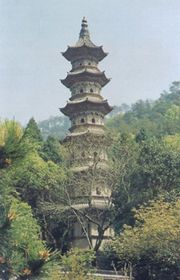 ̨����¡��Ӧ��