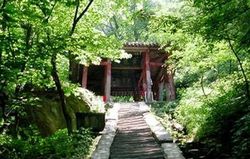 ̨������ɸ��