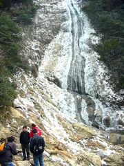 ̨����̶��