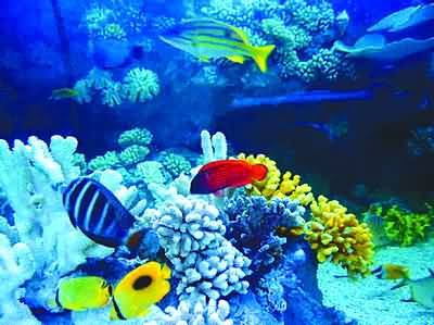 �Ϸʺ������غ�������