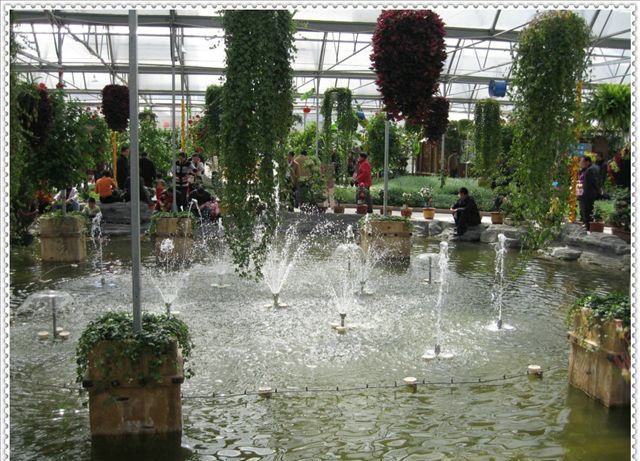 ������̬԰