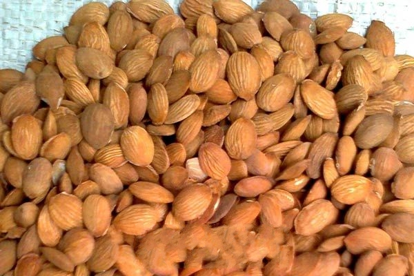 ��ɽ����