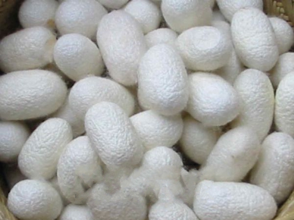 �����ϼ�