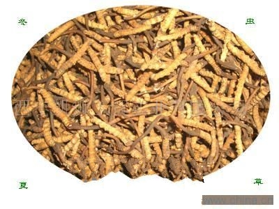 ɽ�������Ĳ�