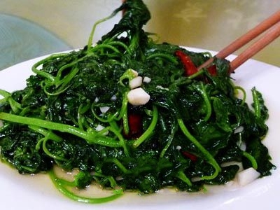 ƽ����Ҷ��