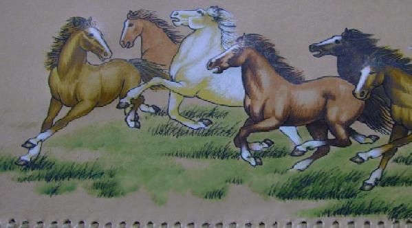 ���ɹ�ţƤ��