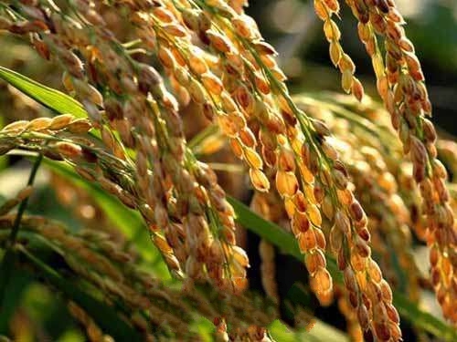 �������㵾