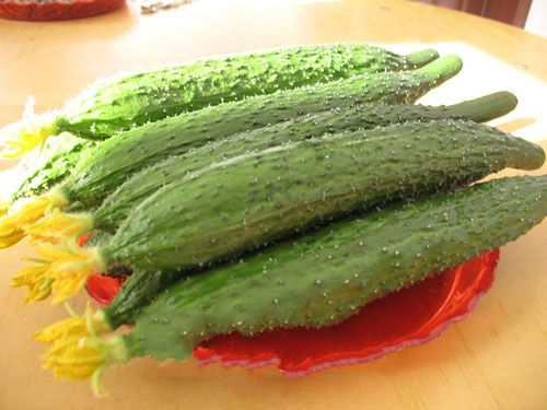 ���������ƹ�