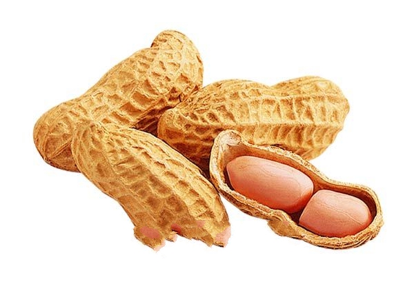 �����ӻ���