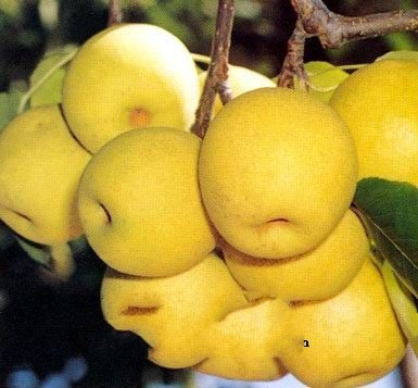 ���а���