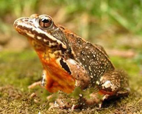 �й�����