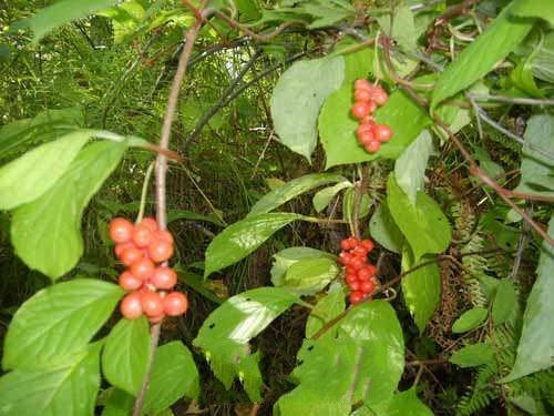 ľ����ζ��