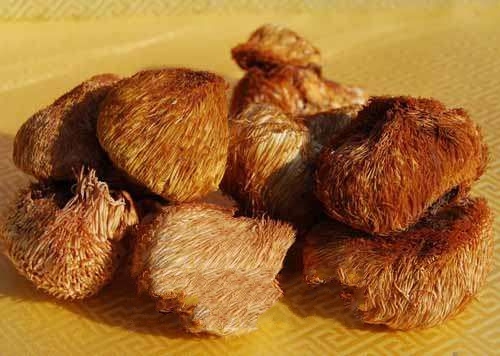 ������ͷĢ