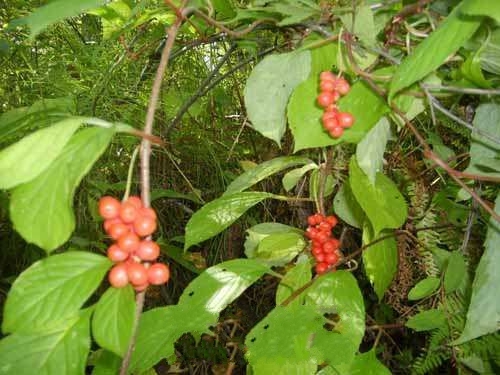 ��÷���˲Ρ���ζ��