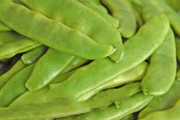 �����Ͷ���