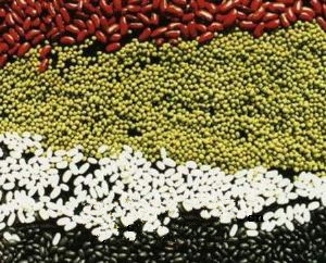 �����Ӷ�